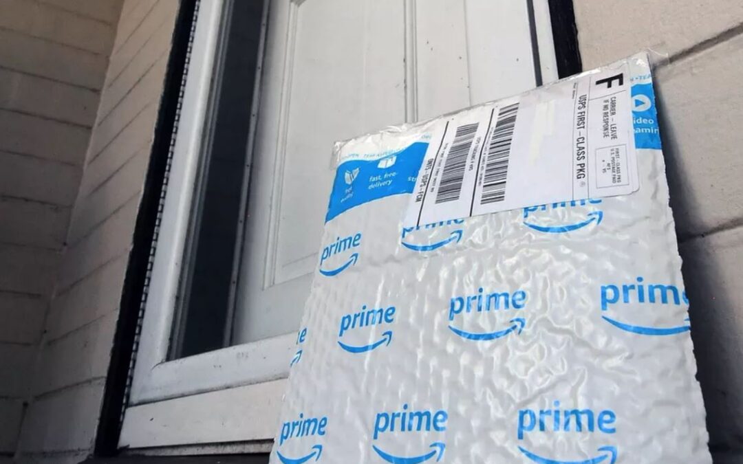 Buying Ring Surveillance Cameras Saves Amazon Money on Stolen Packages