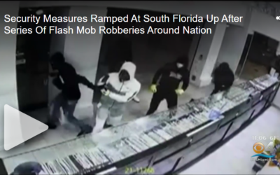 Flash Mob Robberies Have Some South Florida Retail Stores On High Alert