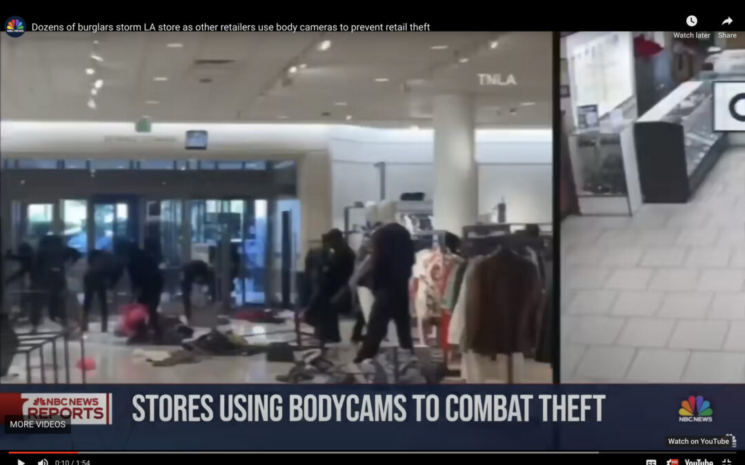 Dozens of Burglars Storm LA Store as Other Retailers Use Body Cameras to Prevent Retail Theft