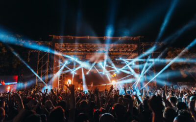 Summer Concert Security